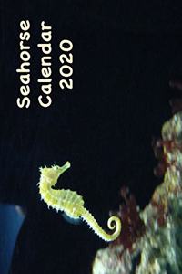 Seahorse Calendar 2020