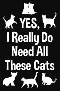 Yes, I Really Do Need All These Cats