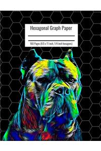Hexagonal Graph Paper