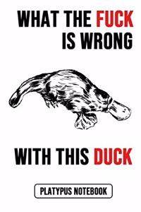 What The Fuck Is Wrong With This Duck