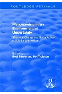 Manoeuvring in an Environment of Uncertainty: Structural Change and Social Action in Sub-Saharan Africa
