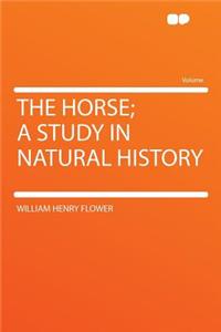 The Horse; A Study in Natural History