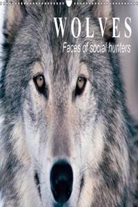 Wolves • Faces of social hunters 2016