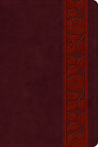 ESV Large Print Personal Size Bible, Red Letter
