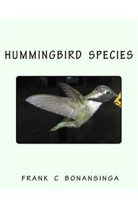 Hummingbird Species