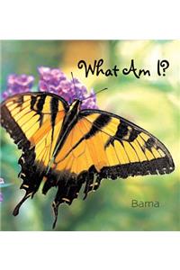 What am I?