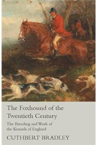 Foxhound of the Twentieth Century - The Breeding and Work of the Kennels of England