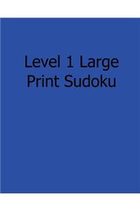 Level 1 Large Print Sudoku