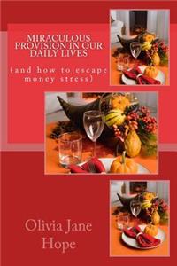 Miraculous Provision in our daily lives
