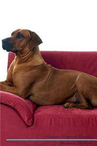 Rhodesian Ridgeback Affirmations Workbook Rhodesian Ridgeback Presents