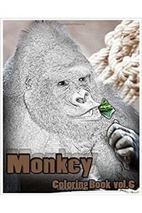Monkey
