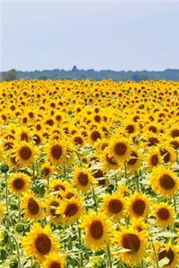 Sunflowers in a Field Summer Journal