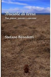 Briciole di terra