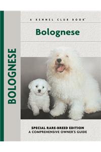 Bolognese