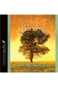 A Place of Healing: Wrestling with the Mysteries of Suffering, Pain, and God's Sovereignty