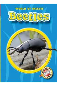 Beetles