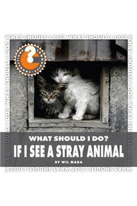 What Should I Do? If I See a Stray Animal