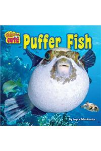 Puffer Fish