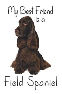 My best Friend is a Field Spaniel