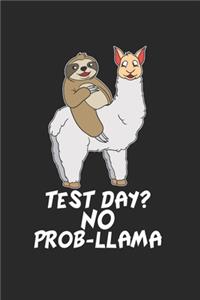 Faultier reitet auf Lama Notizbuch