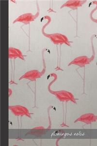 Flamingos Notes