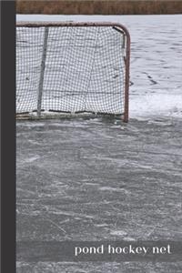 pond hockey net