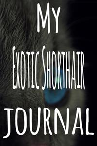 My Exotic Shorthair Journal