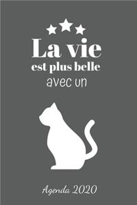 La vie est plus belle avec un chat