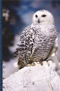 Snowy Owl Creative Journal