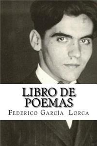 Libro de poemas