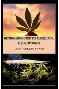 Beginners Guide to Marijuana Hydroponics