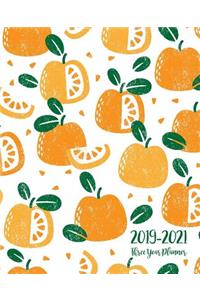 2019-2021 Three Year Planner