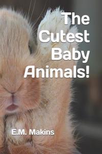 Cutest Baby Animals!