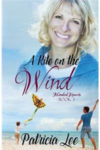 Kite on the Wind