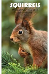 Squirrels Weekly Planner 2018