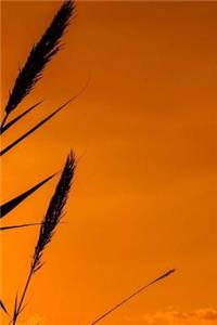 Reeds Notebook