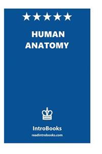 Human Anatomy