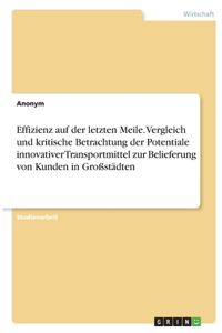 Effizienz auf der letzten Meile. Vergleich und kritische Betrachtung der Potentiale innovativer Transportmittel zur Belieferung von Kunden in Großstädten