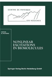 Nonlinear Excitations in Biomolecules