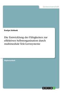 Entwicklung der Fähigkeiten zur effektiven Selbstorganisation durch multimediale Tele-Lernsysteme