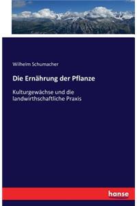 Ernährung der Pflanze