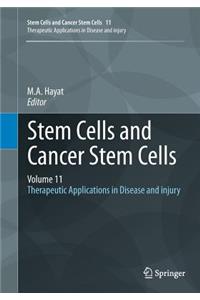 Stem Cells and Cancer Stem Cells, Volume 11