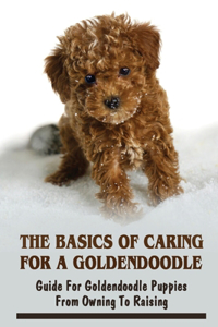 The Basics Of Caring For A Goldendoodle