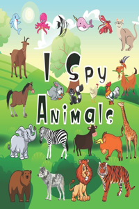 I Spy Animals