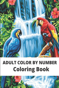 Adult color by number Coloring Book