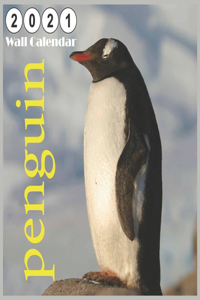 penguin