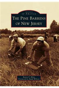 The Pine Barrens of New Jersey