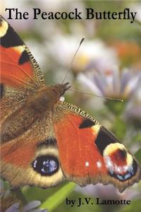The Peacock Butterfly