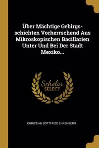 Über Mächtige Gebirgs-schichten Vorherrschend Aus Mikroskopischen Bacillarien Unter Und Bei Der Stadt Mexiko...