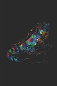 Iguana Colors